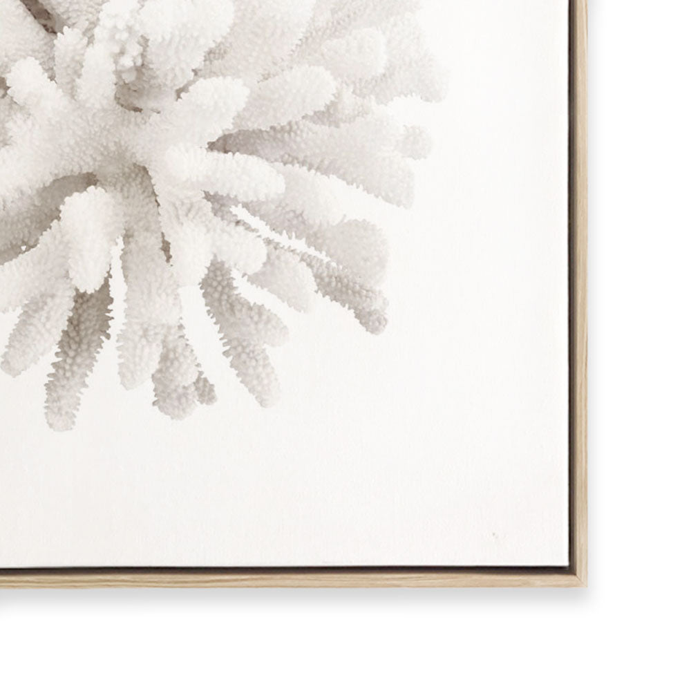 Crystal Coral I