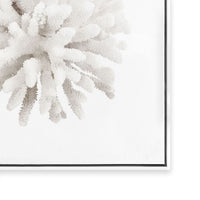 Crystal Coral I