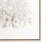 Crystal Coral III