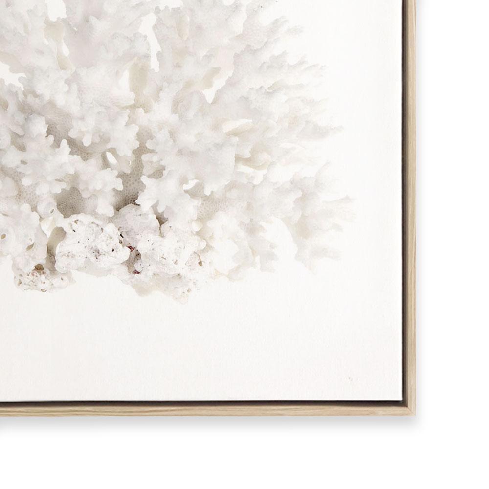 Crystal Coral III