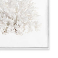 Crystal Coral III
