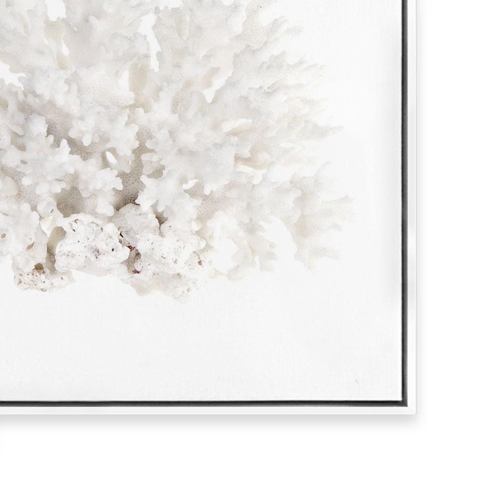 Crystal Coral III