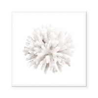 Crystal Coral I