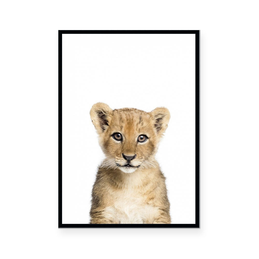 Cub