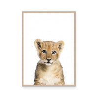 Cub