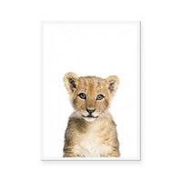 Cub