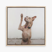 Print & Frame | Canvas | Wholesale