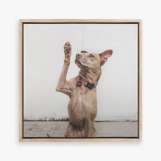 Print & Frame | Canvas | Wholesale