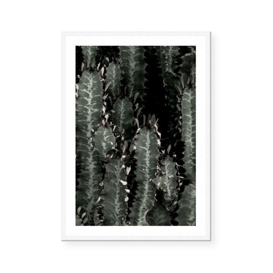 Dark Cacti | Portrait