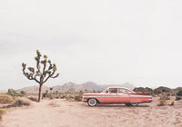 Desert Cadi