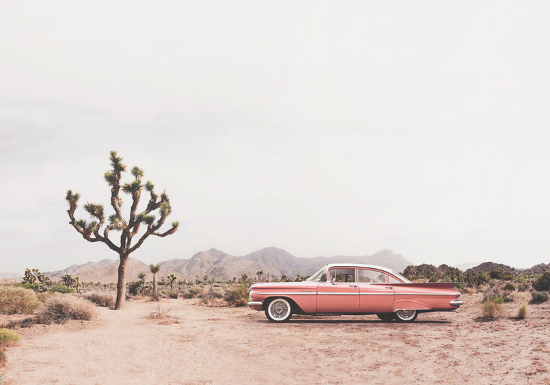 Desert Cadi