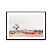 Desert Cadi