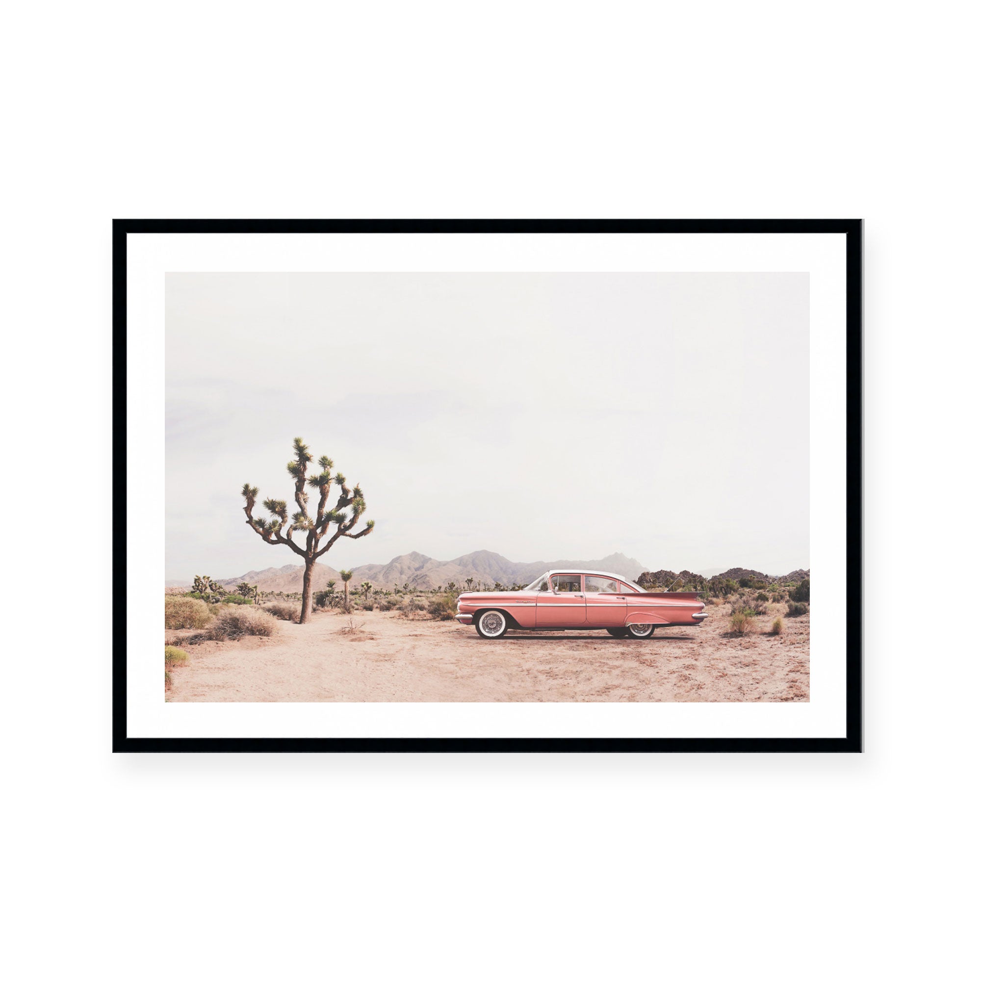 Desert Cadi