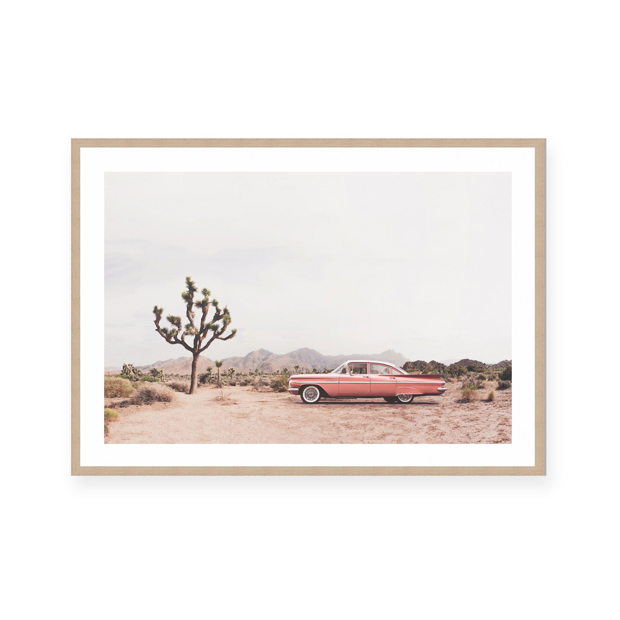 Desert Cadi