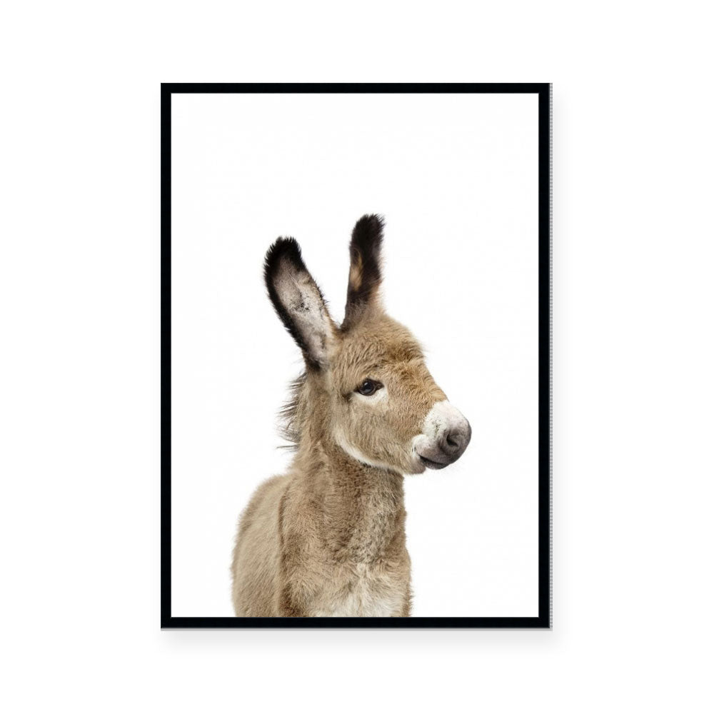 Donkey