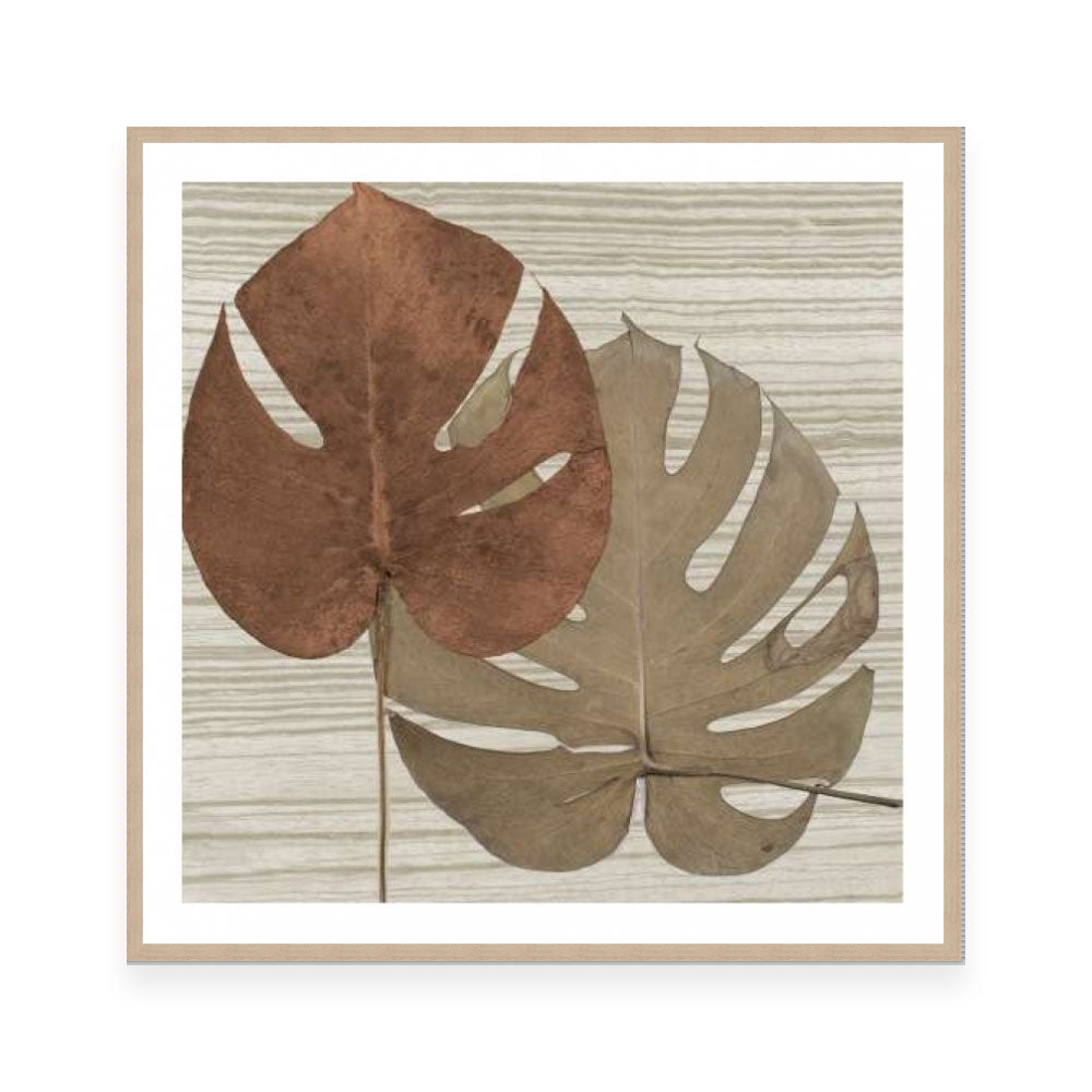 Dry Balazo on Fabric II