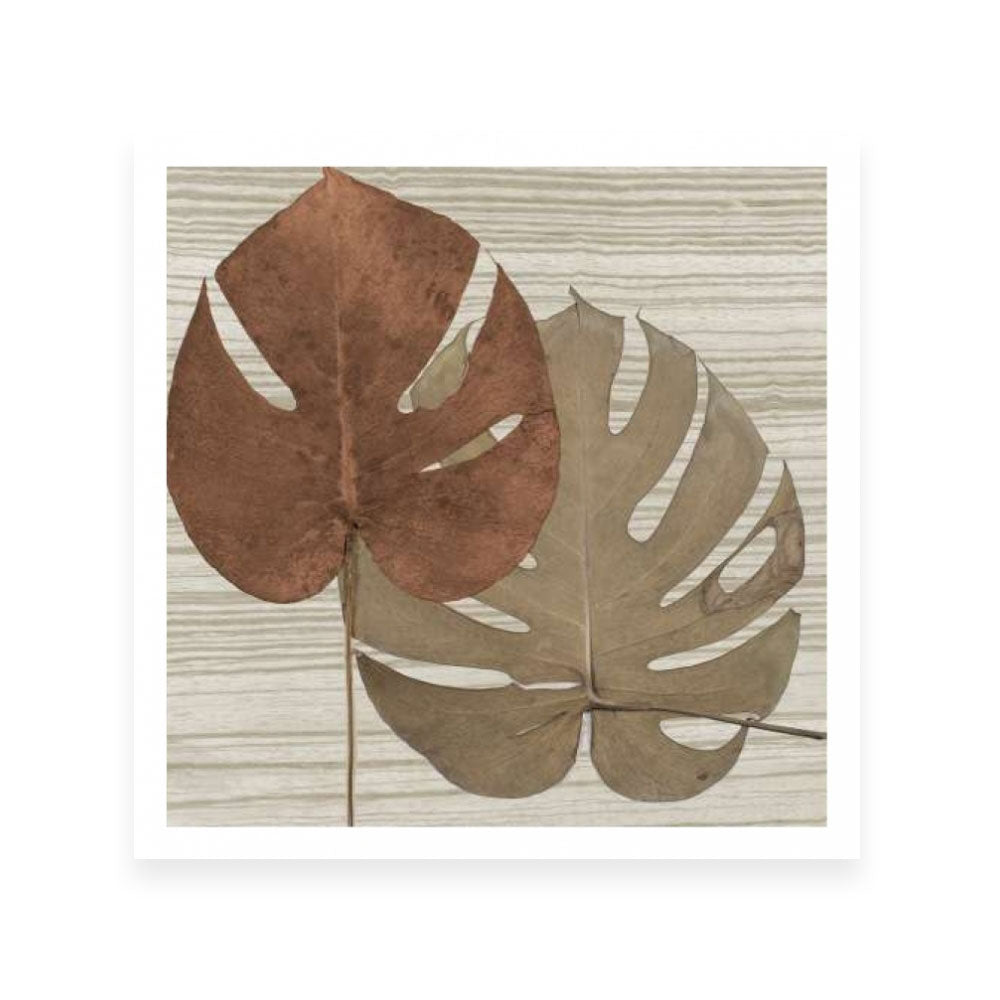 Dry Balazo on Fabric II