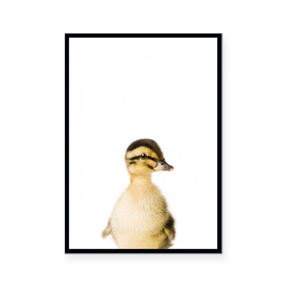 Duckling