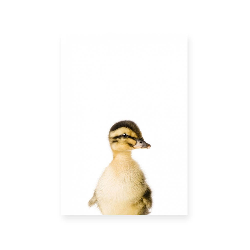 Duckling