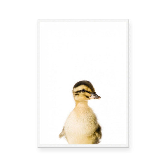 Duckling