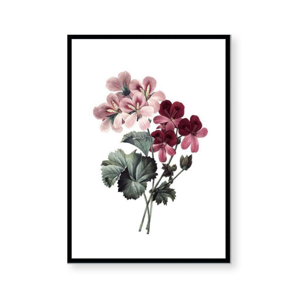 Encyclopedia Flora II