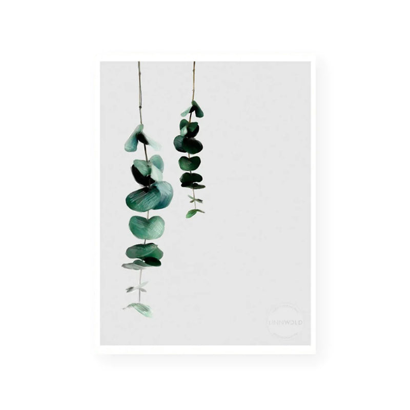 Eucalyptus II | Fine Art Print | Linn Wold