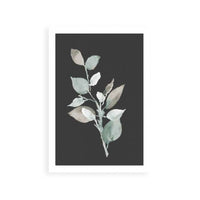 Eucalyptus Branch On Charcoal II