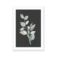 Eucalyptus Branch On Charcoal II