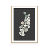 Eucalyptus Branch On Charcoal I