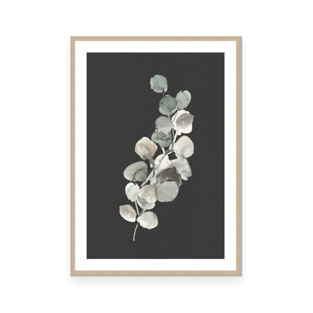 Eucalyptus Branch On Charcoal I