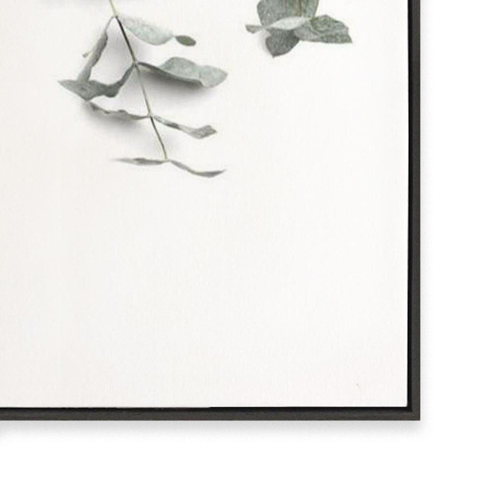 Eucalyptus Gum