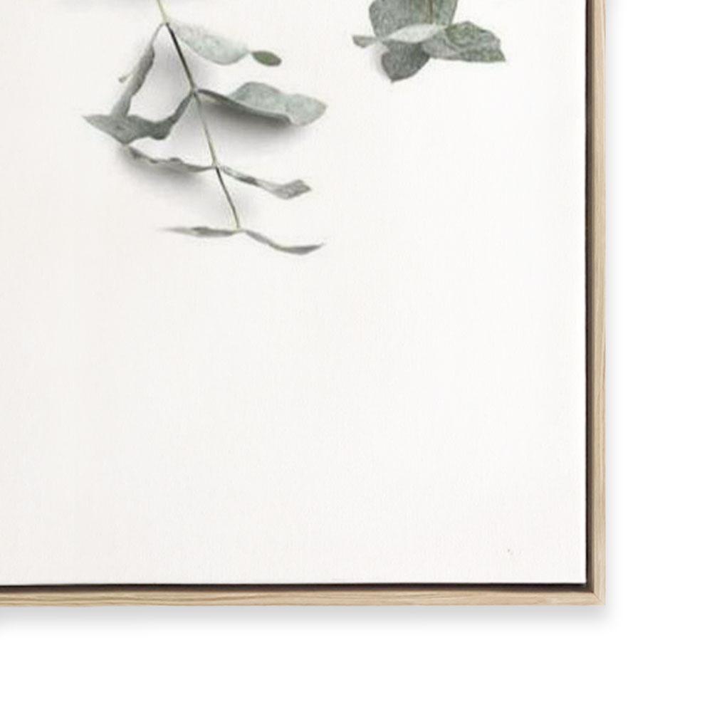 Eucalyptus Gum