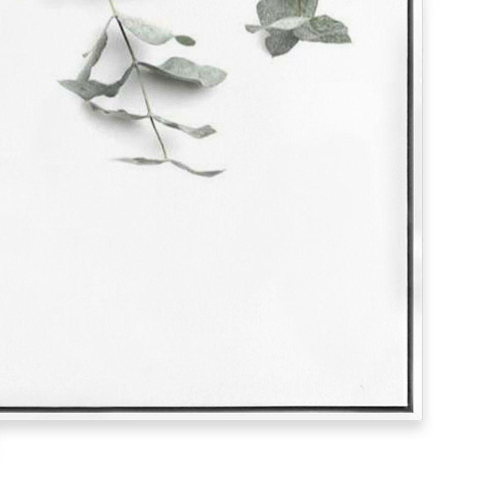 Eucalyptus Gum