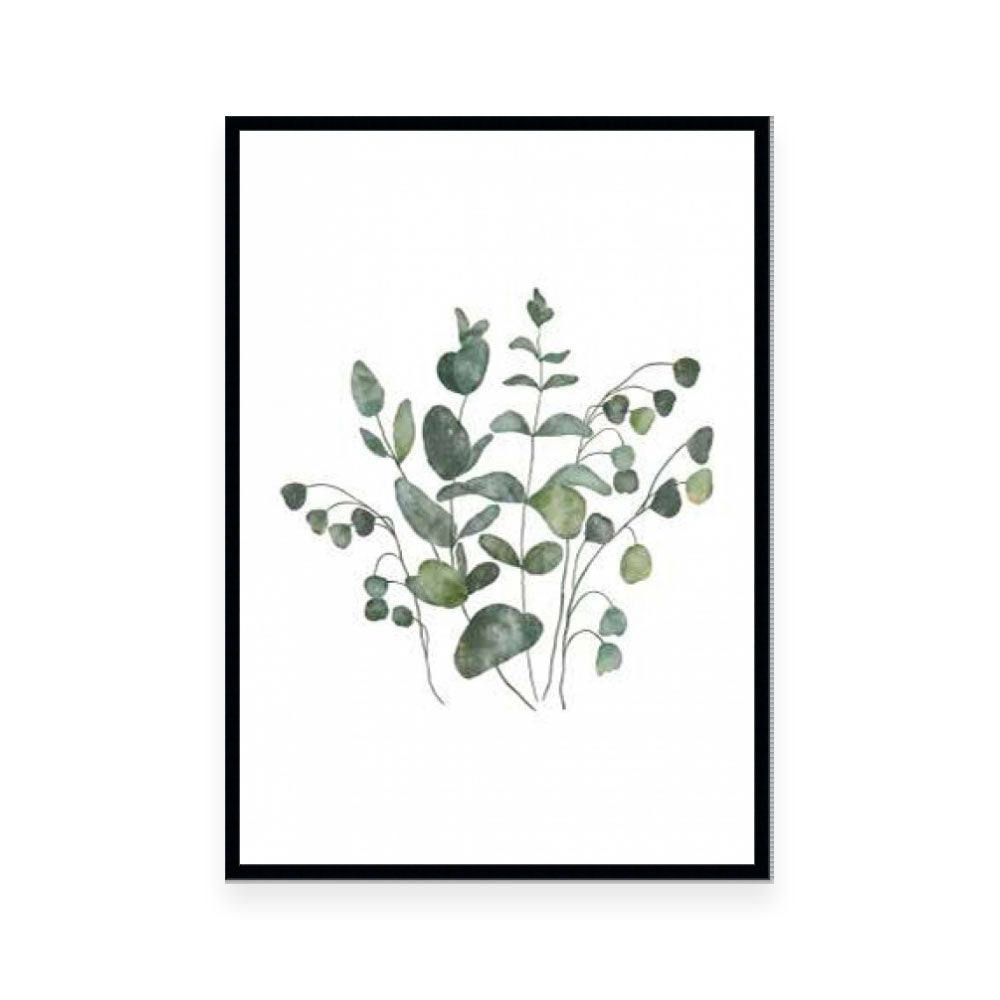 Eucalyptus Leaves III