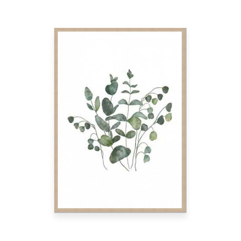 Eucalyptus Leaves III