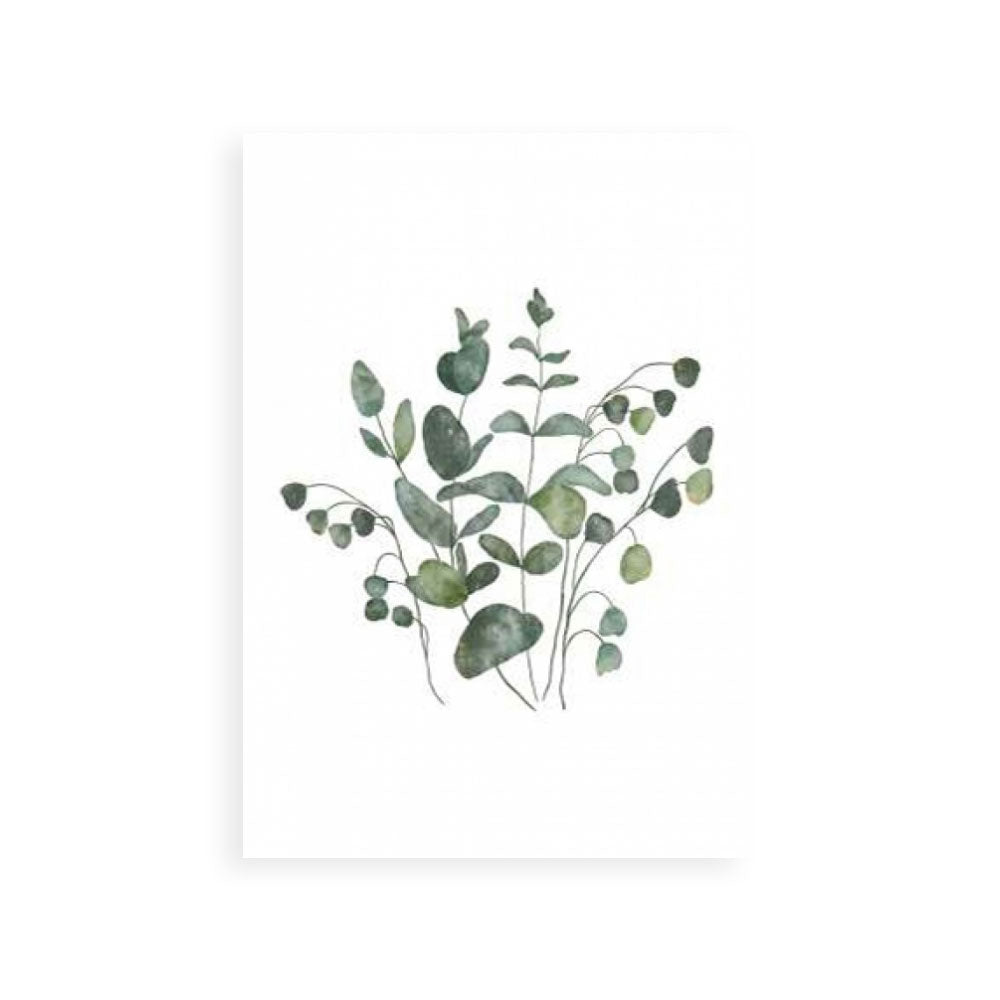 Eucalyptus Leaves III