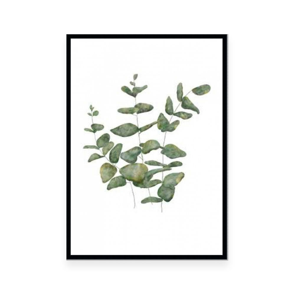 Eucalyptus Leaves II