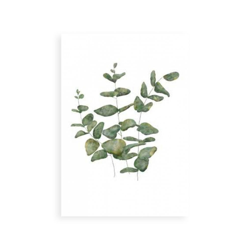 Eucalyptus Leaves II
