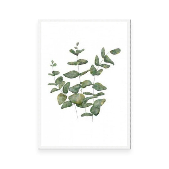 Eucalyptus Leaves II