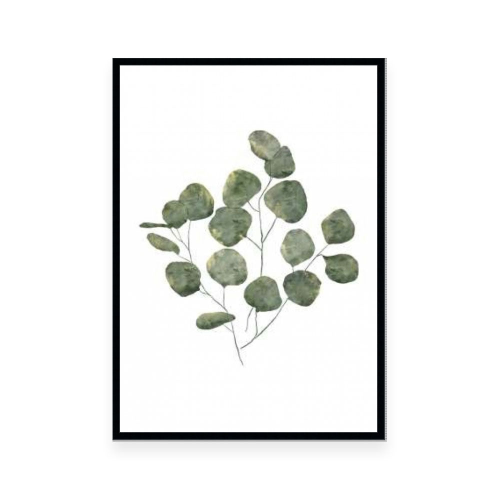 Eucalyptus Leaves