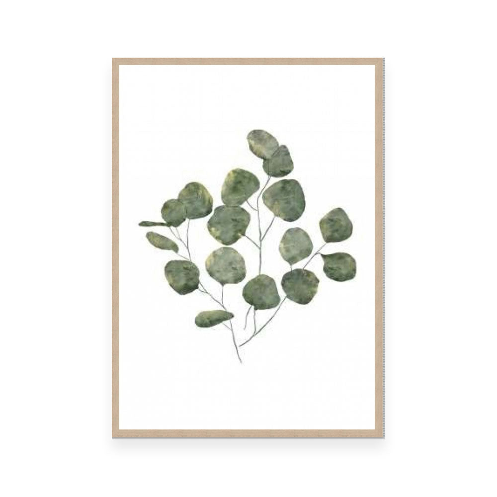 Eucalyptus Leaves