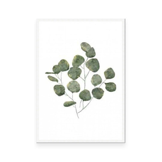 Eucalyptus Leaves