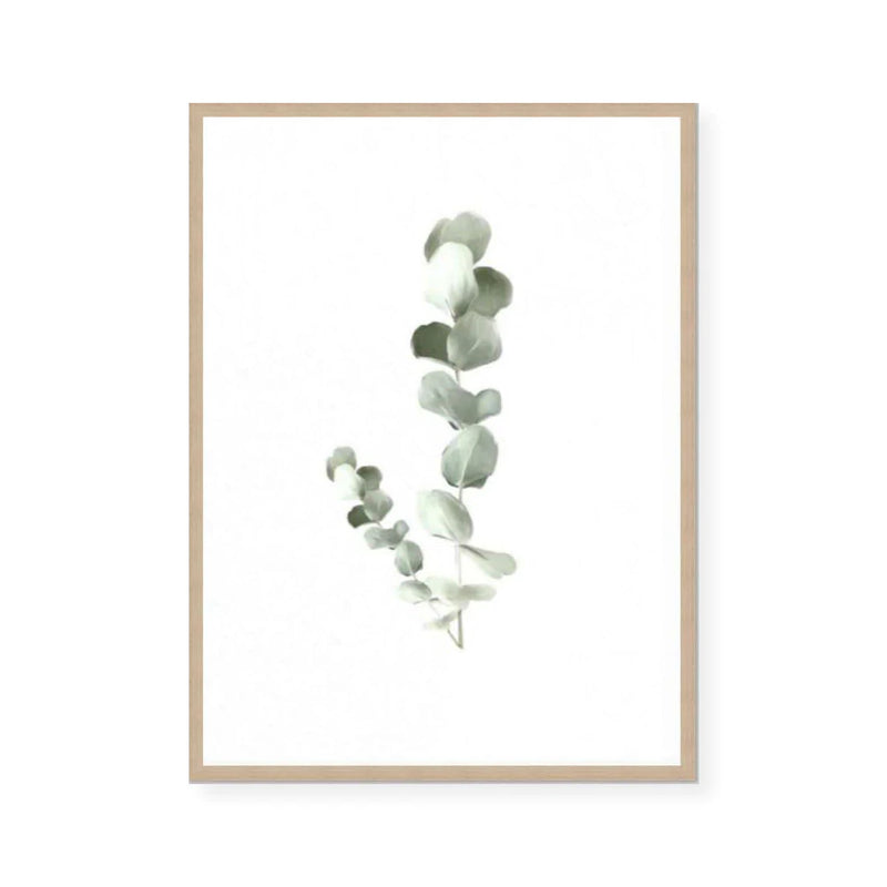 Eucalyptus | Fine Art Print | Linn Wold