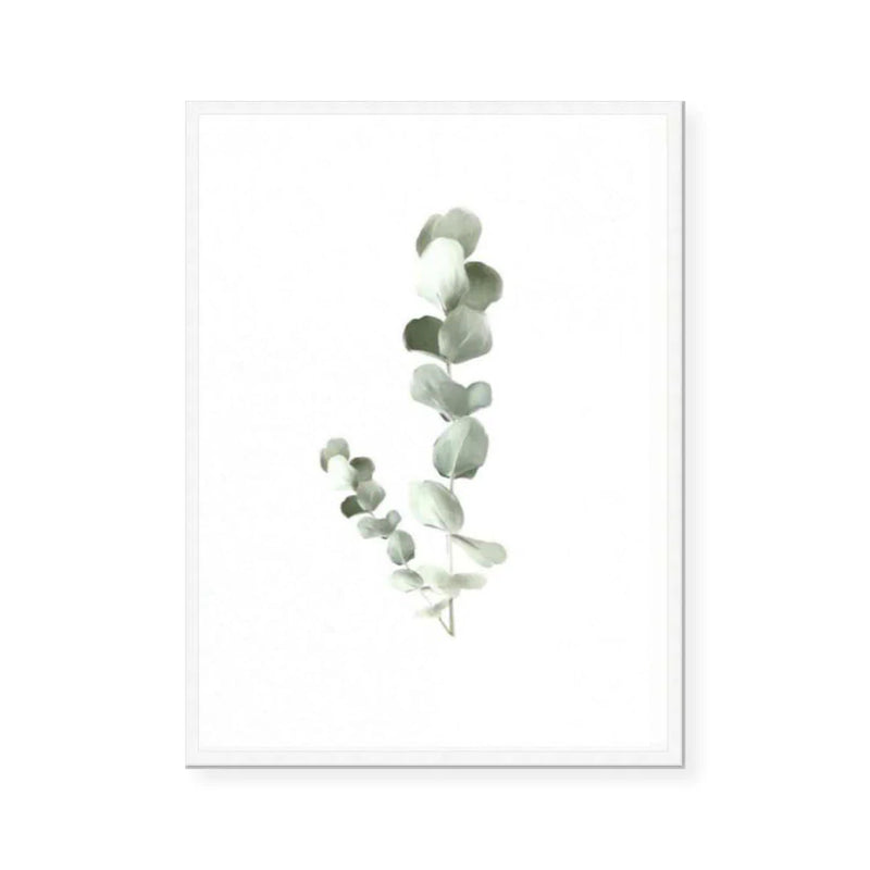 Eucalyptus | Fine Art Print | Linn Wold