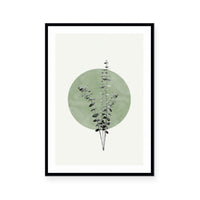 Moon Botanical II