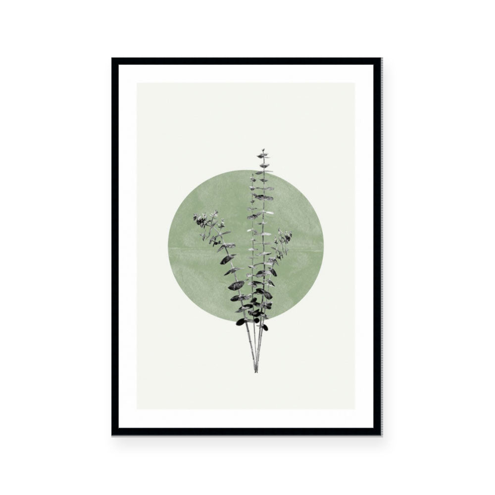 Moon Botanical II