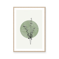 Moon Botanical II