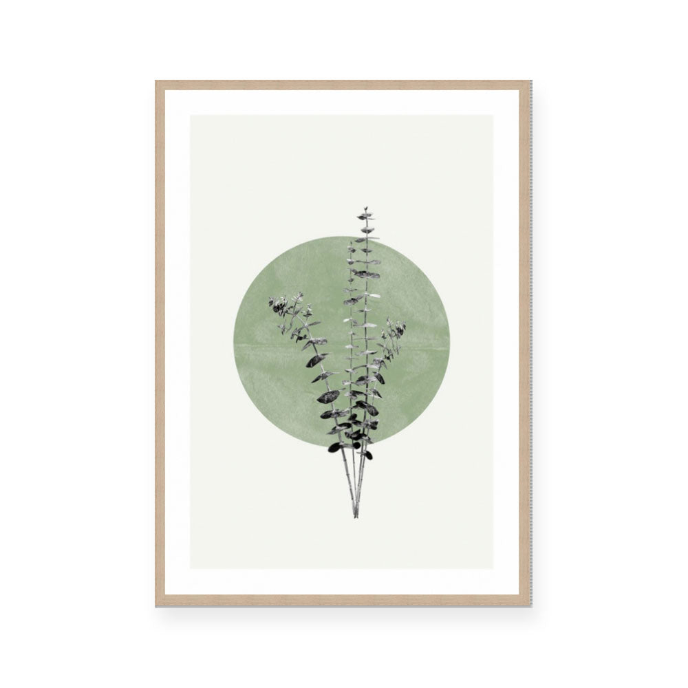 Moon Botanical II