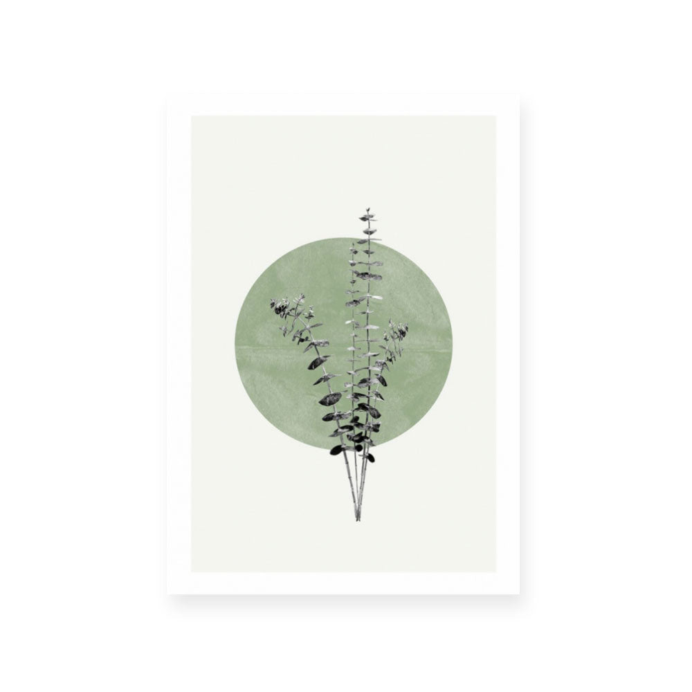 Moon Botanical II