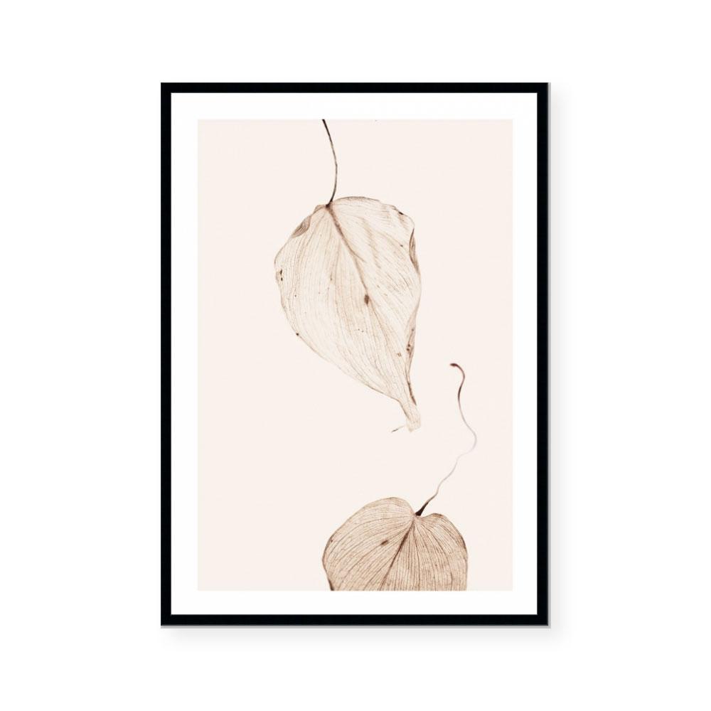Fall II